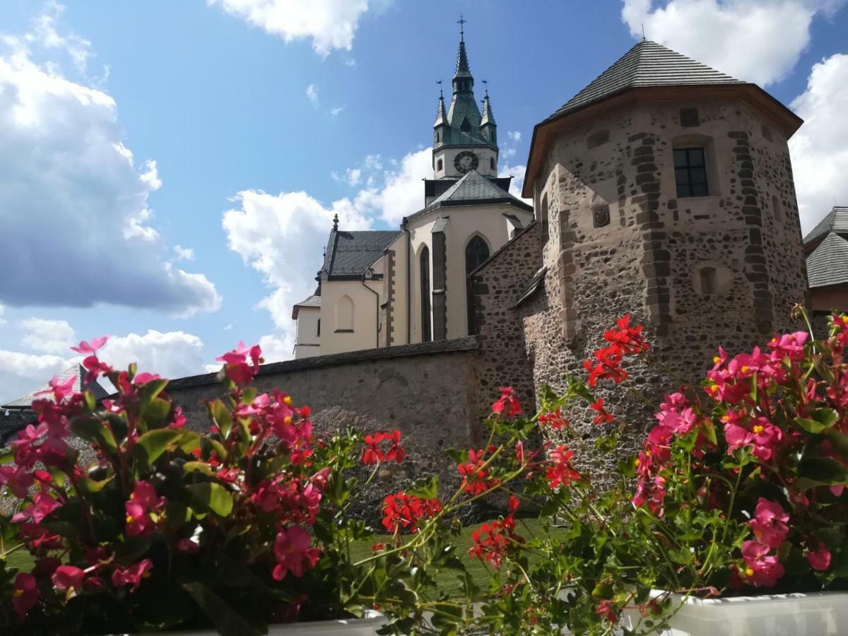 Apartament Pod Zamkom Kremnica Zewnętrze zdjęcie